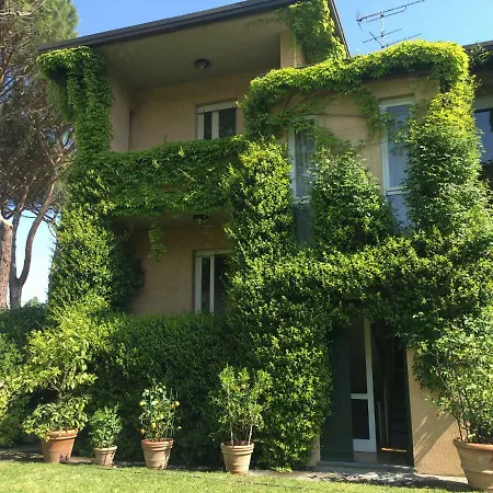 Vicopelago